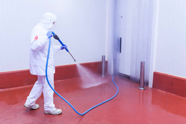 Best Boat and Dock Cleaning  in Matamoras, OH
