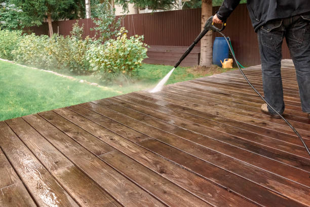 Best Animal Enclosure Cleaning  in Matamoras, OH